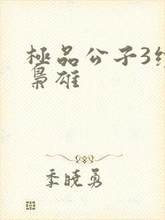 极品公子3续世枭雄