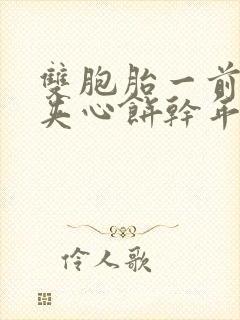 双胞胎一前一后夹心饼干年下