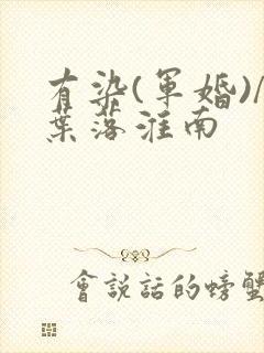 有染(军婚)/叶落淮南