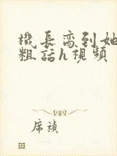 机长脔到她哭h粗话h视频