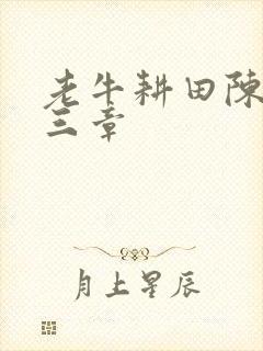 老牛耕田陈雪第三章