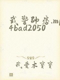 武警帅痞.mp4bad2050