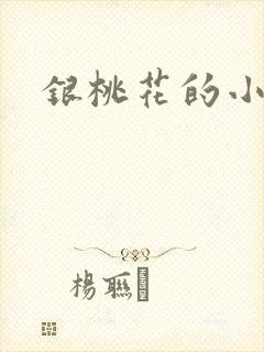 银桃花的小说
