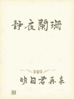 静夜阑珊