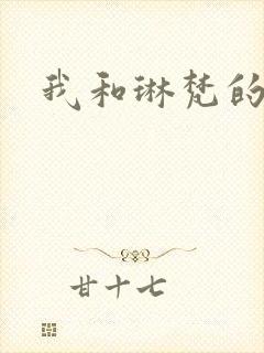 我和琳梵的故事