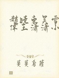 赵晓东吴雪晴郑伟王潇潇小说名字