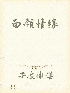 白领情缘
