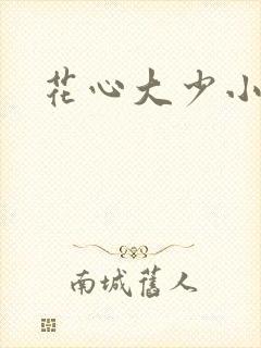 花心大少小说