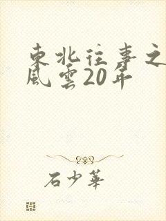 东北往事之黑道风云20年