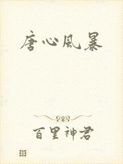 唐心风暴