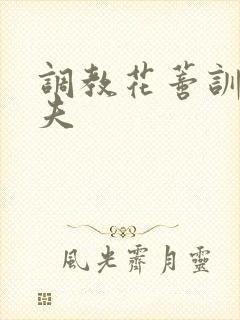 调教花蒂训诫从夫