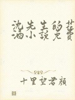 沈先生的花式调酒小说免费阅读