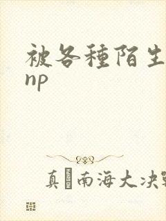 被各种陌生人 np