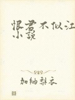 恨君不似江楼月小说