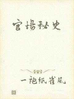 官场秘史