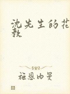 沈先生的花式管教