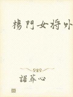 杨门女将外传