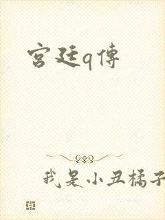 宫廷q传