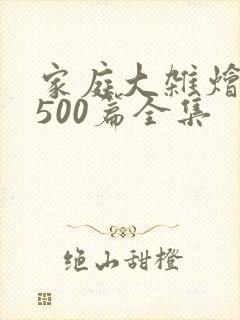 家庭大杂烩小说500篇全集
