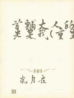 首辅大人的白月光是我(重生)