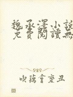 魏承泽小说全文免费阅读无弹窗笔趣