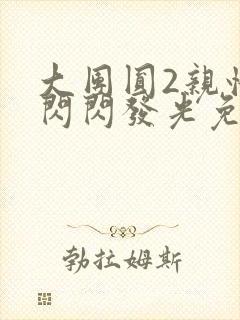 大团圆2亲情会闪闪发光免费