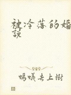 被冷落的婚姻小说