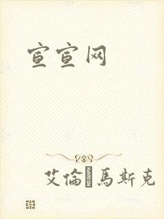 宣宣网
