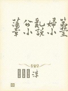 荡公乱妇第51章小说小莹