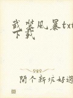武装风暴txt下载