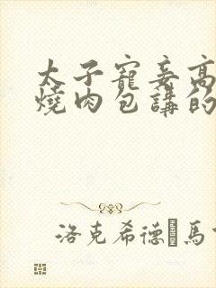 太子宠妾高肉红烧肉包讲的什么