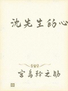 沈先生的心头宝