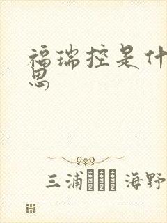 福瑞控是什么意思