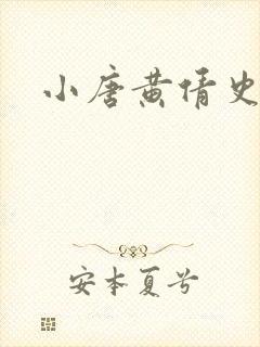 小唐黄倩史