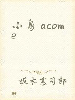 小鸟 acome