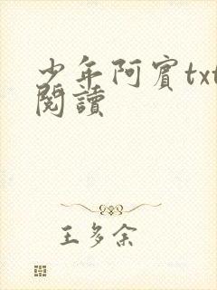 少年阿宾txt阅读