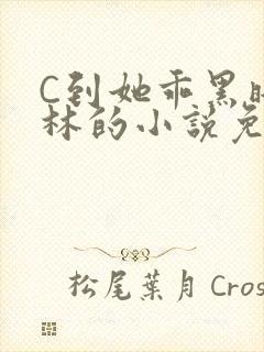 C到她乖黑暗森林的小说免费