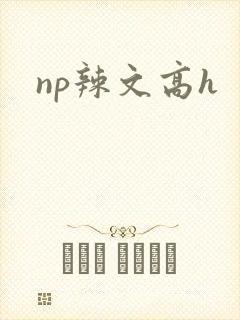 np辣文高h