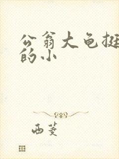 公翁大龟挺进我的小