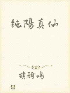 纯阳真仙