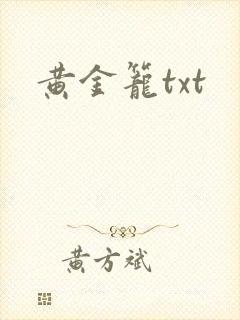 黄金笼txt