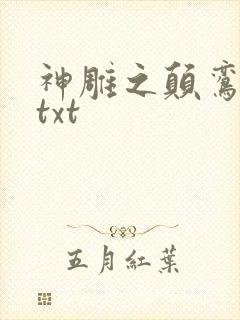 神雕之颠鸾倒凤txt