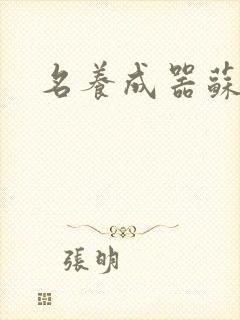 名养成器苏沫沫