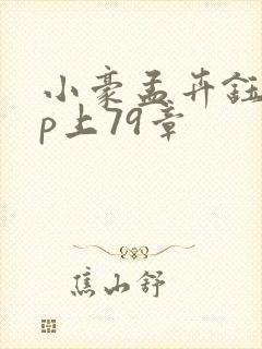 小豪孟卉钰慧三p上79章