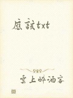 应该txt