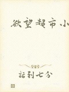 欲望超市小说