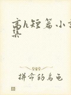 高h短篇小说合集