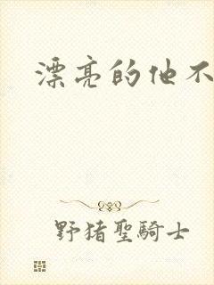 漂亮的他不说话