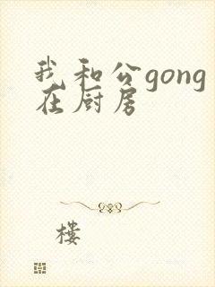 我和公gong在厨房