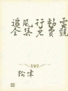 追风行动电视剧全集免费观看